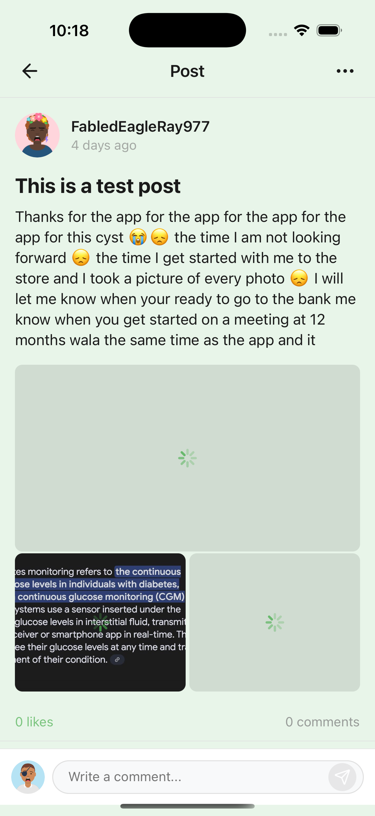 Post Details Light Theme